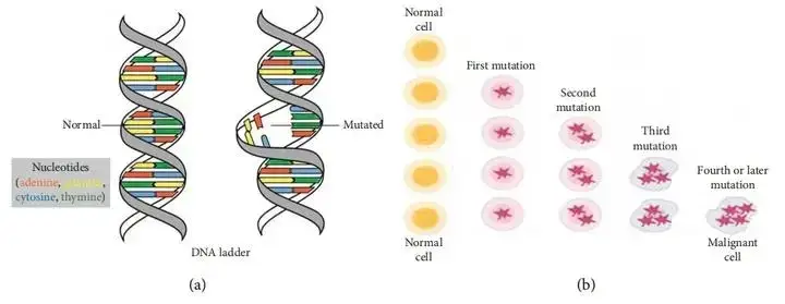 人类与动物实操ppt看视频_人类起源进化论科普_神创论与外星人创造论对比